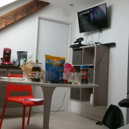 Le Pinacle Du Prince Apartment *