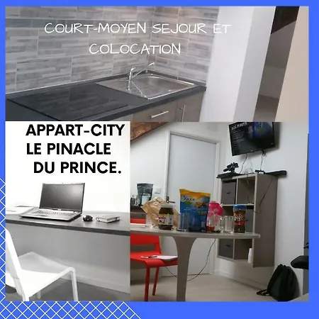 Apartment Le Pinacle Du Prince Epinal