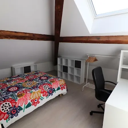 Le Pinacle Du Prince Apartment